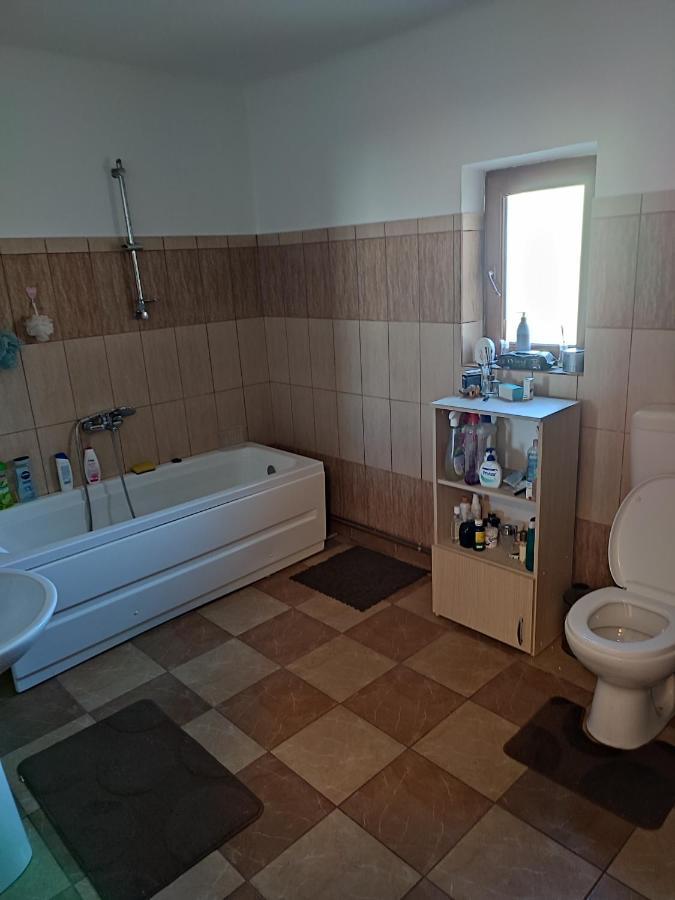 Отель Central House Куртя-де-Арджеш Экстерьер фото