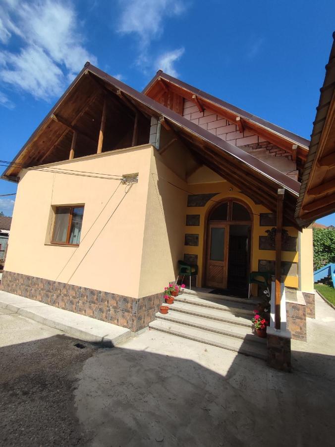 Отель Central House Куртя-де-Арджеш Экстерьер фото